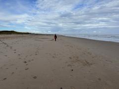 On the wonderful beach at last - looking forward to five miles of this!